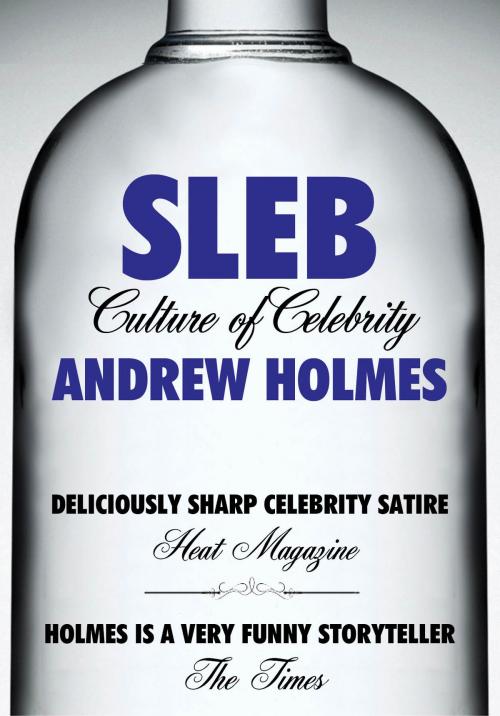 Cover of the book Sleb by Andrew Holmes, Acorn Digital Press Ltd