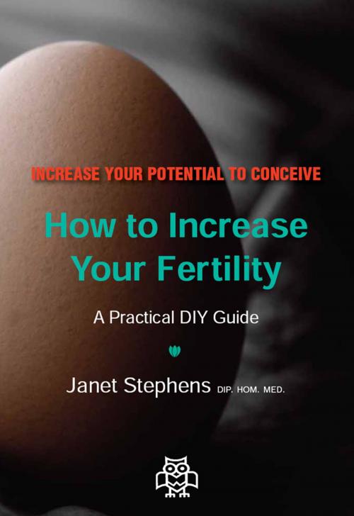 Cover of the book How to Increase Your Fertility: A Practical DIY Guide by Janet Stephens, Janet Stephens Health Solutions Pty Ltd