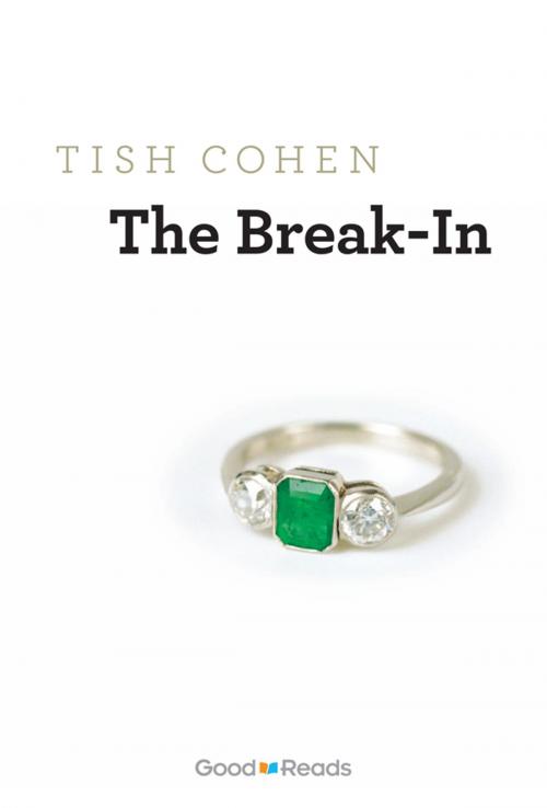 Cover of the book The Break-In by Tish Cohen, Grass Roots Press