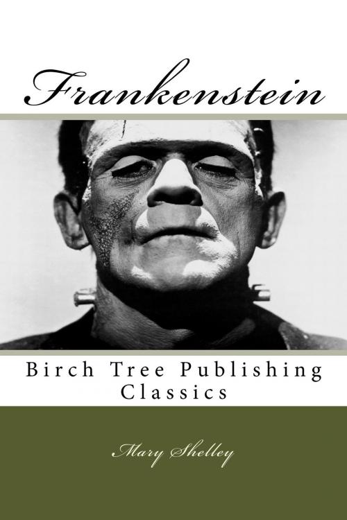 Cover of the book Frankenstein by Mary Shelley, Birch Tree Publishing
