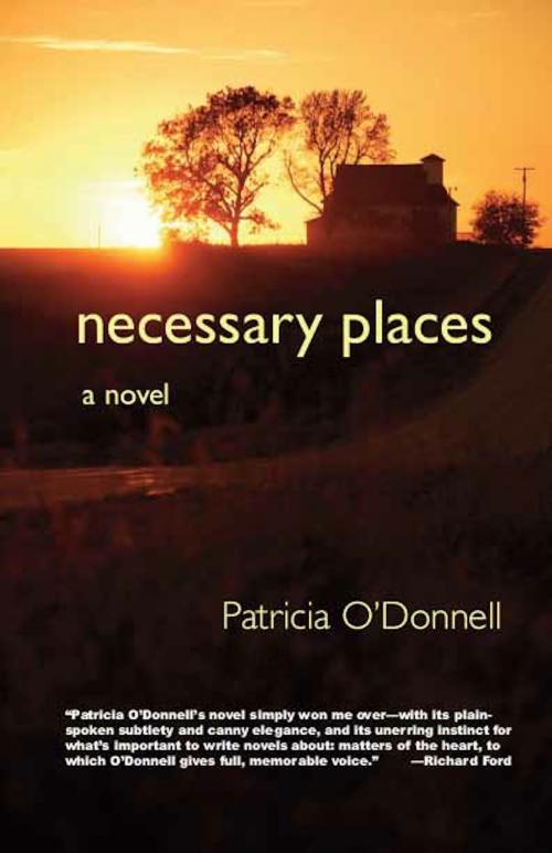 Cover of the book Necessary Places: A Novel by Patricia O'Donnell, Tilbury House Publishers