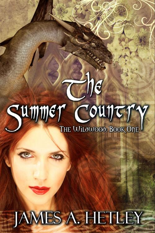 Cover of the book The Summer Country by James A. Hetley, TKA Distribution