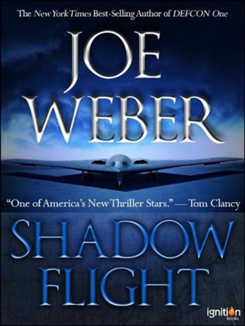 Cover of the book Shadow Flight by Joe Weber, Endpapers Press