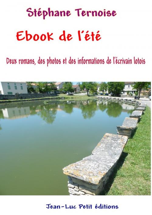 Cover of the book Ebook de l'été by Stéphane Ternoise, Jean-Luc PETIT Editions