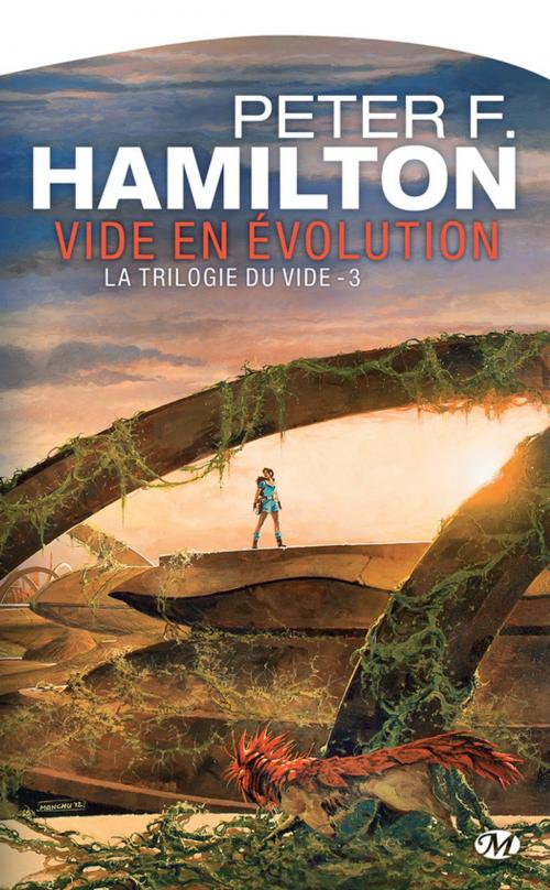 Cover of the book Vide en évolution by Peter F. Hamilton, Bragelonne