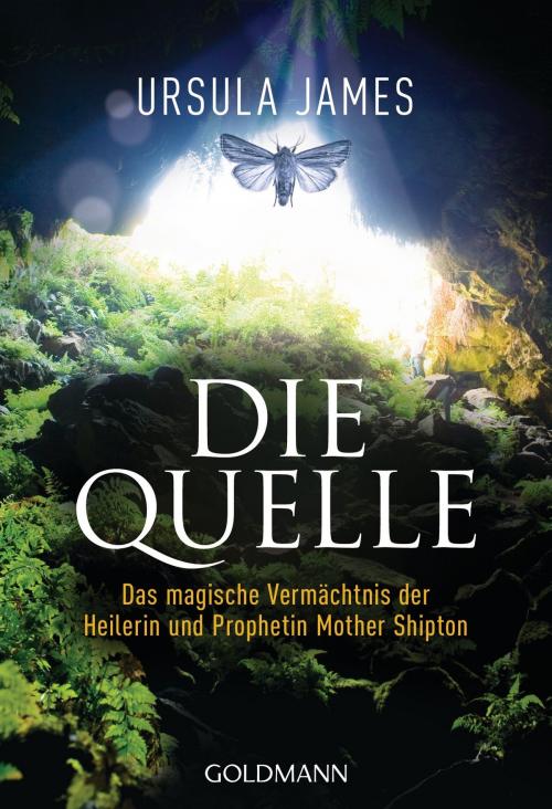 Cover of the book Die Quelle by Ursula James, Goldmann Verlag