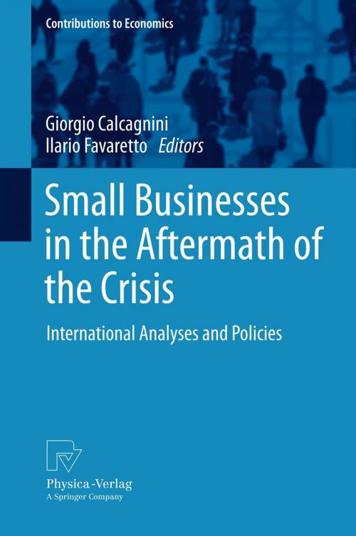 Cover of the book Small Businesses in the Aftermath of the Crisis by , Physica-Verlag HD