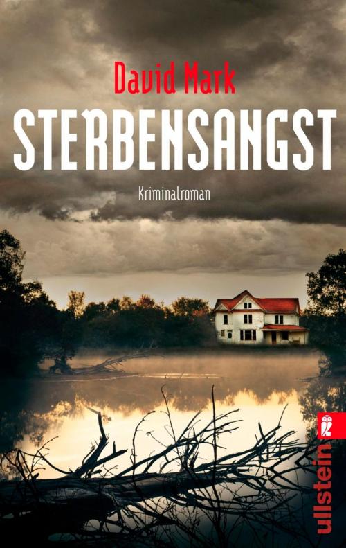 Cover of the book Sterbensangst by David Mark, Ullstein Ebooks