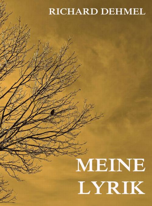 Cover of the book Meine Lyrik by Richard Dehmel, Jazzybee Verlag