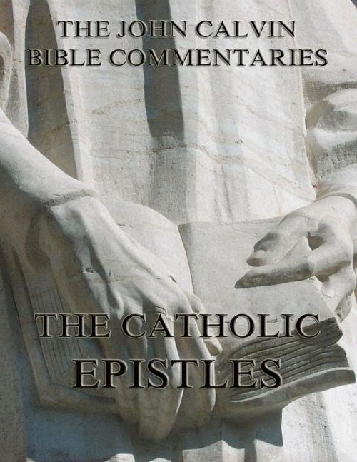 Cover of the book John Calvin's Commentaries On The Catholic Epistles by John Calvin, Jazzybee Verlag