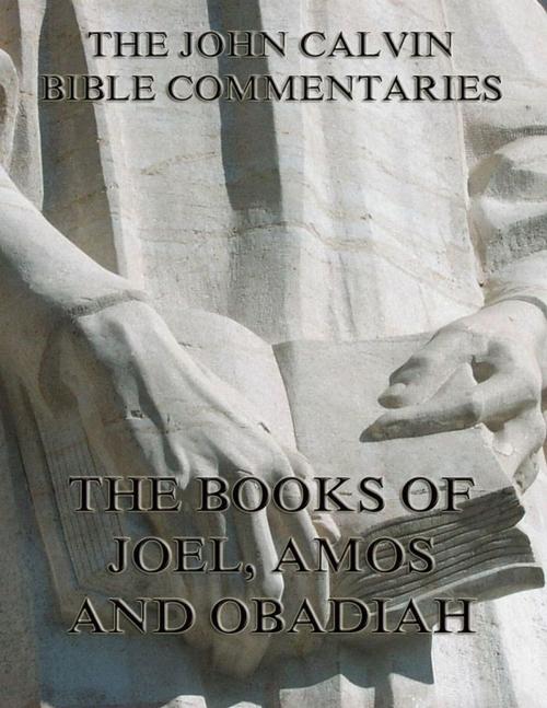Cover of the book John Calvin's Commentaries On Joel, Amos, Obadiah by John Calvin, Jazzybee Verlag