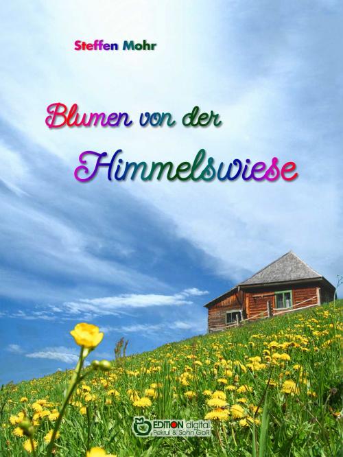 Cover of the book Blumen von der Himmelswiese by Steffen Mohr, EDITION digital