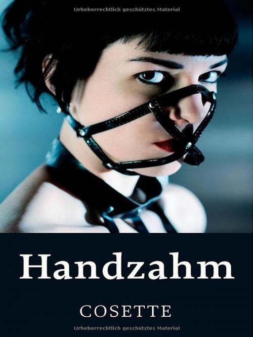 Cover of the book Handzahm by Cosette, SALAX