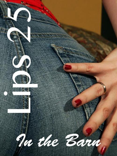 Cover of the book Lips 25 by Dave Menlo, eBook Media