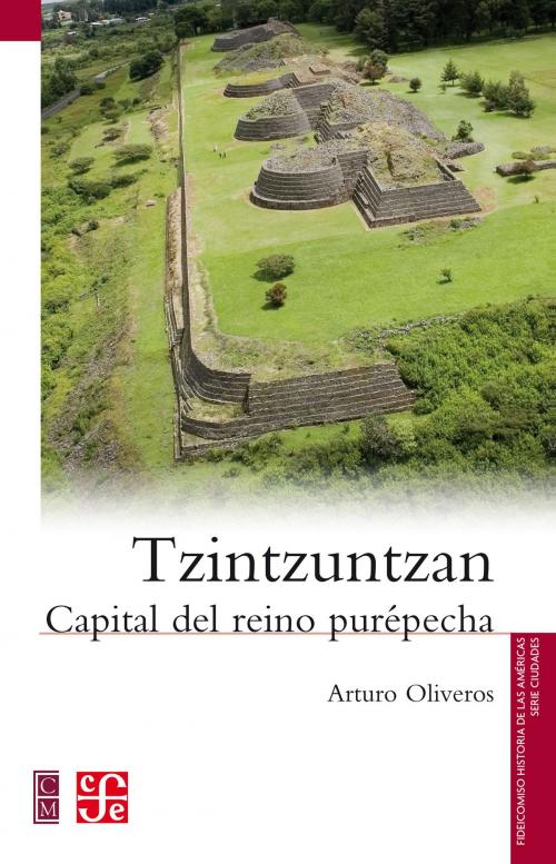 Cover of the book Tzintzuntzan by José Arturo Oliveros Morales, Fondo de Cultura Económica