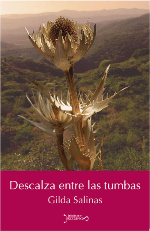 Cover of the book Descalza entre las tumbas by Gilda  Salinas, Trópico de Escorpio