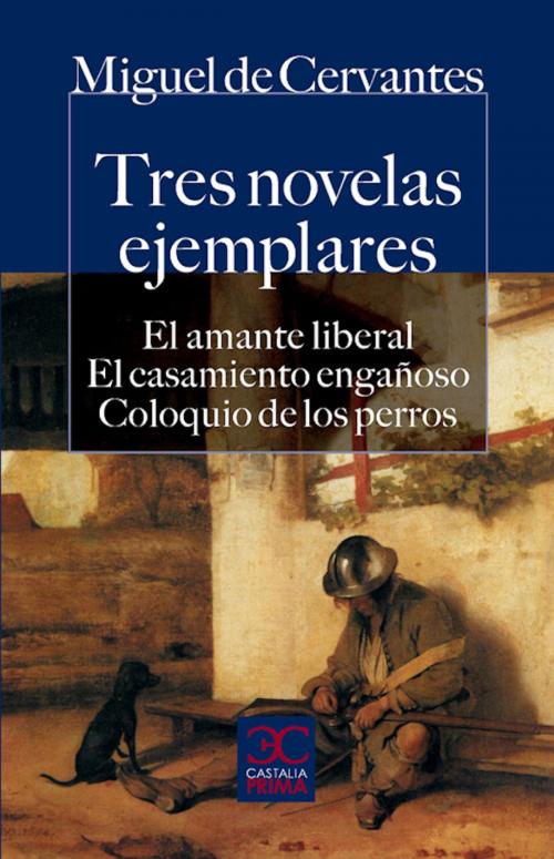 Cover of the book Tres novelas ejemplares by Miguel de Cervantes, CASTALIA