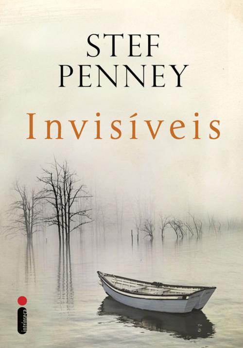 Cover of the book Invisíveis by Stef Penney, Intrínseca