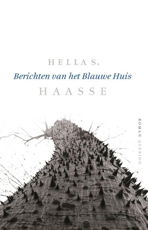 Cover of the book Berichten van het Blauwe Huis by Hella S. Haasse, Singel Uitgeverijen