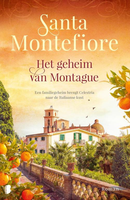 Cover of the book Het geheim van Montague by Santa Montefiore, Meulenhoff Boekerij B.V.