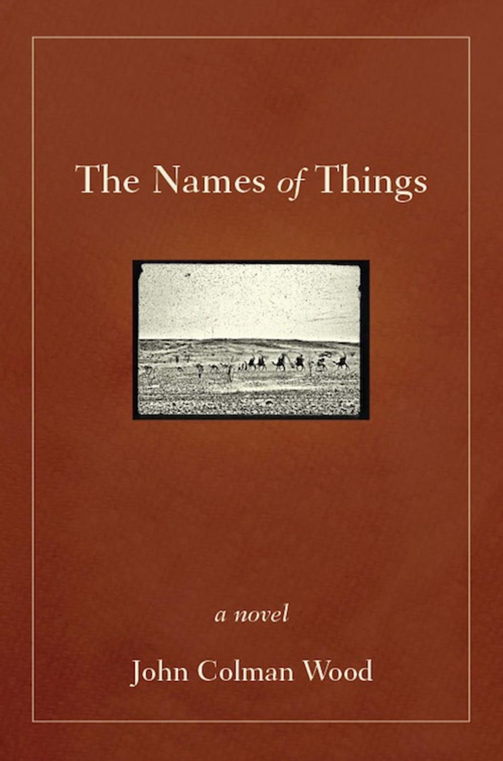 Big bigCover of The Names of Things