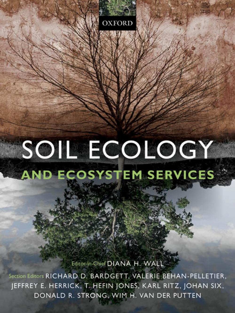 Big bigCover of Soil Ecology and Ecosystem Services