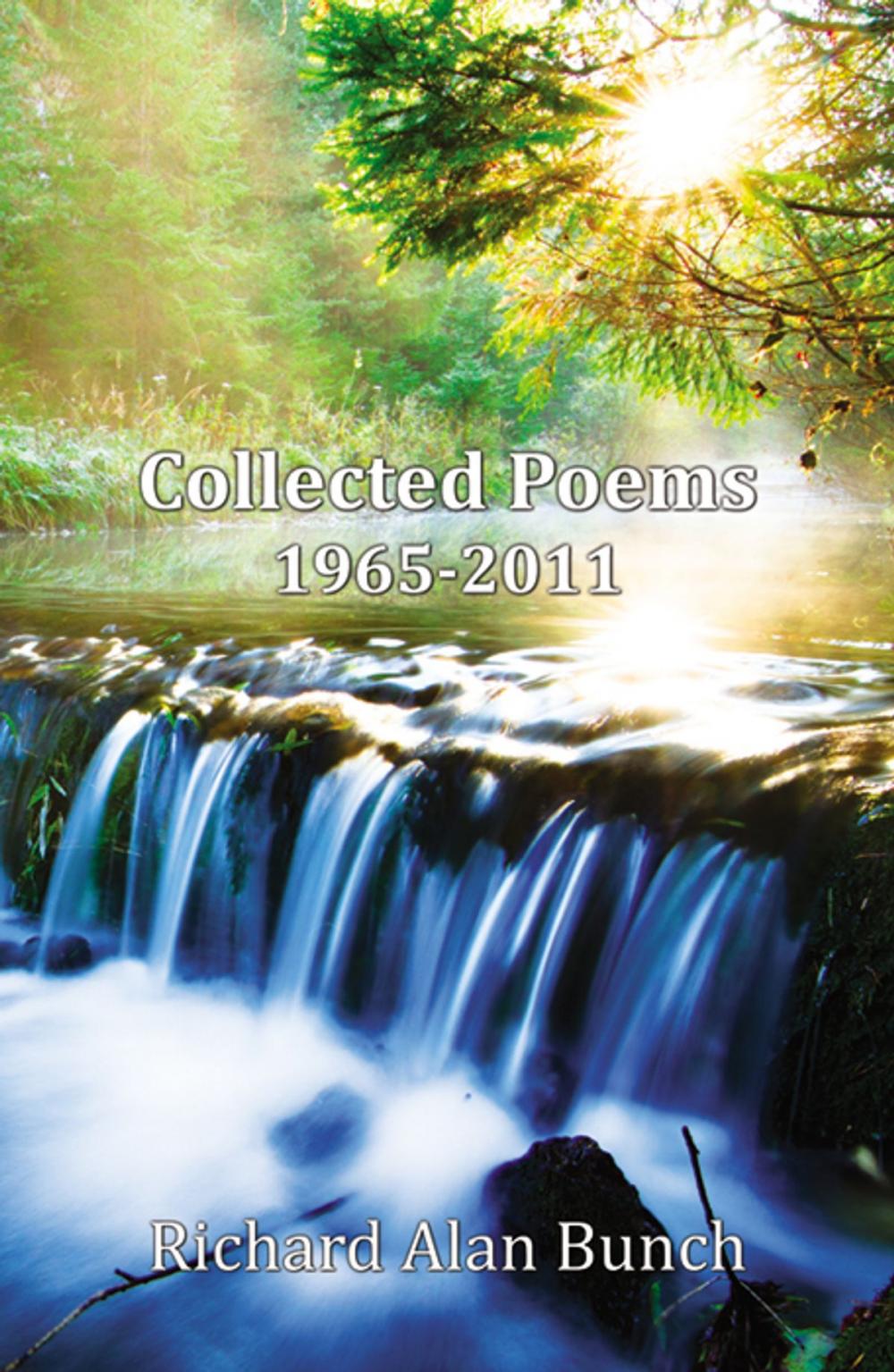 Big bigCover of Collected Poems: 1965-2011