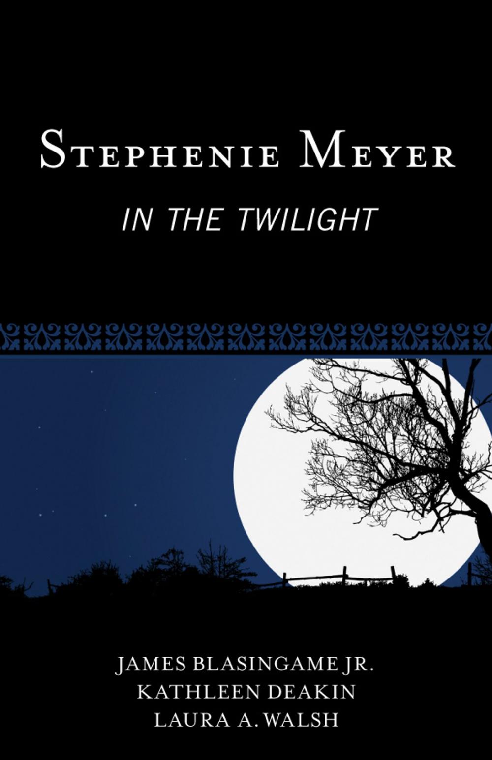 Big bigCover of Stephenie Meyer