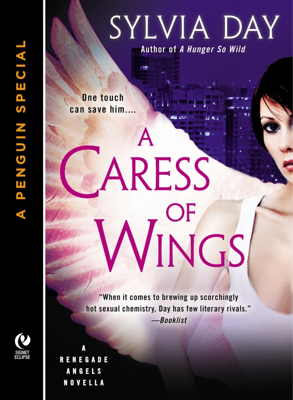 Big bigCover of A Caress of Wings