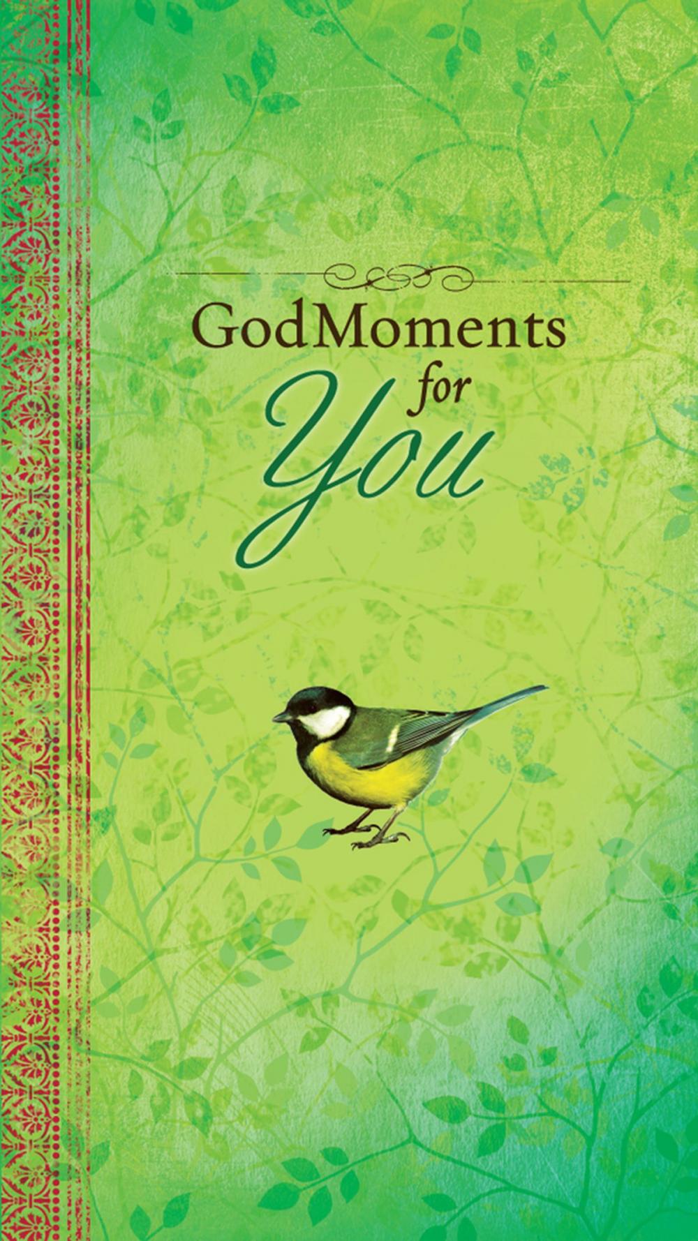 Big bigCover of GodMoments for You (eBook)