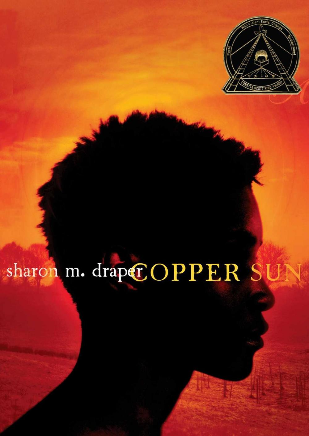 Big bigCover of Copper Sun
