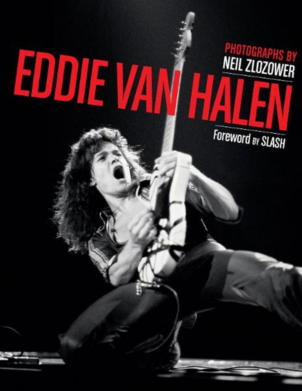 Big bigCover of Eddie Van Halen