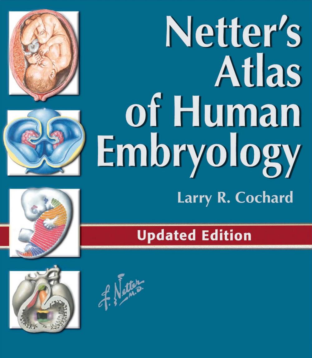 Big bigCover of Netter's Atlas of Human Embryology E-Book