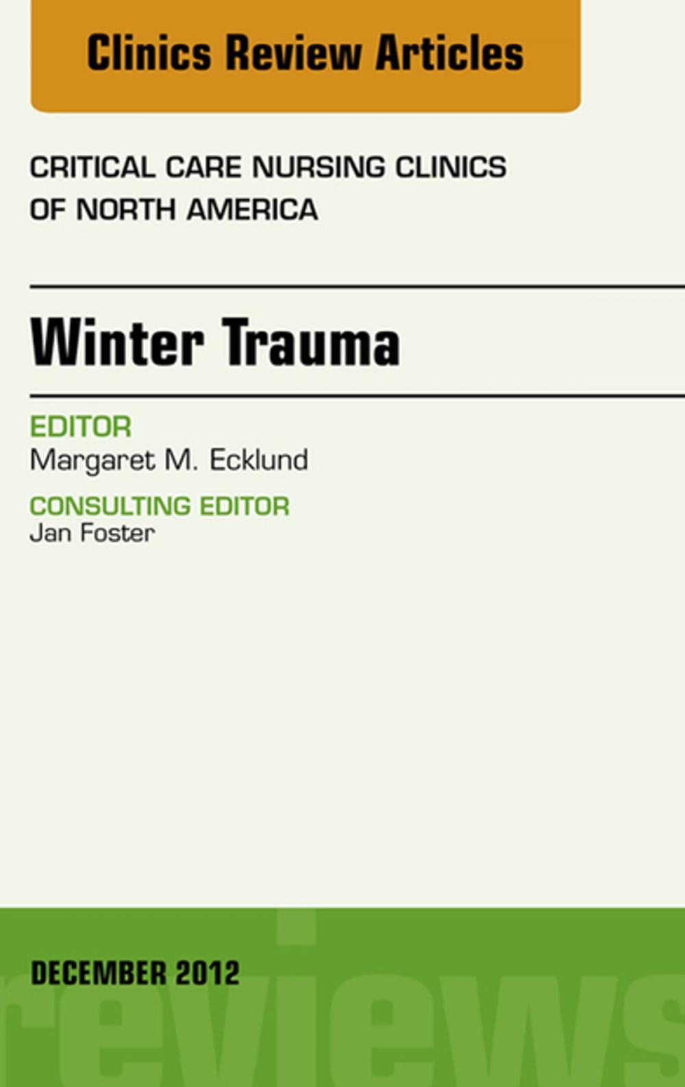 Big bigCover of Winter Trauma, An Issue of Critical Care Nursing Clinics - E-Book