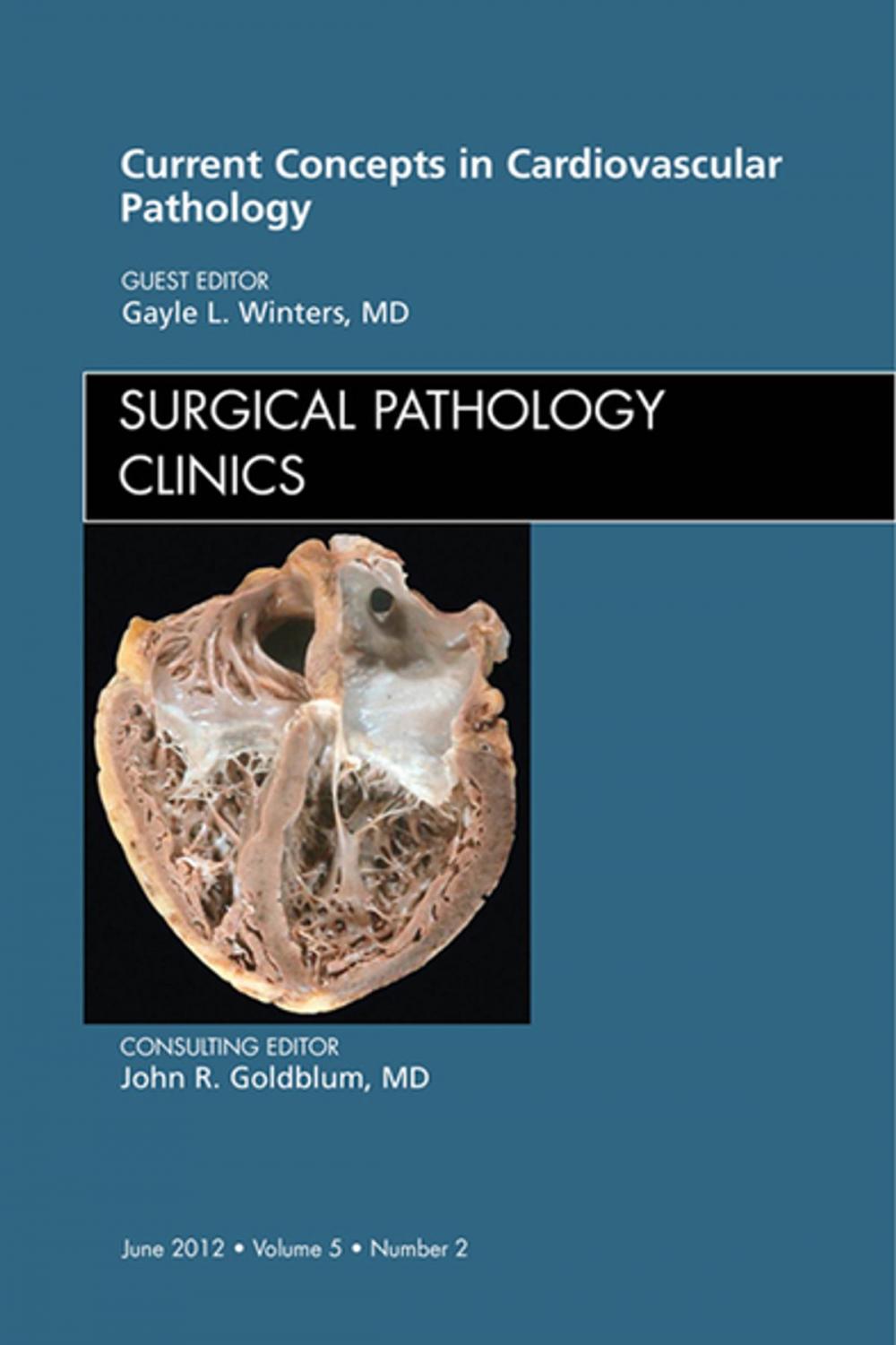 Big bigCover of Current Concepts in Cardiovascular Pathology, An Issue of Surgical Pathology Clinics - E-Book