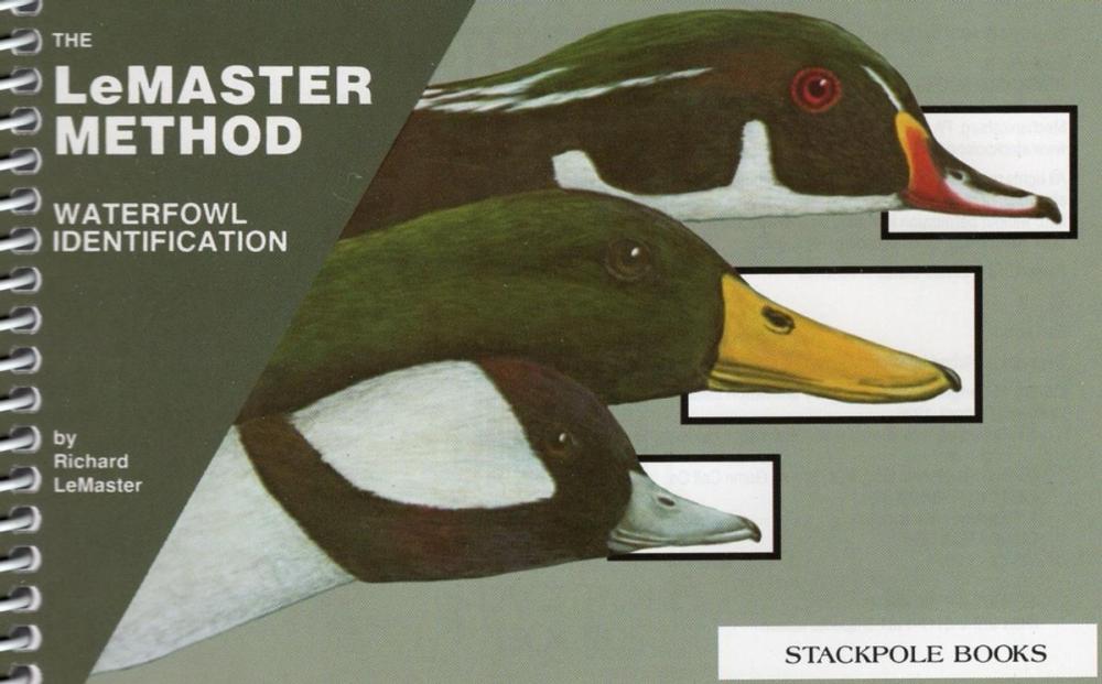 Big bigCover of Waterfowl Identification