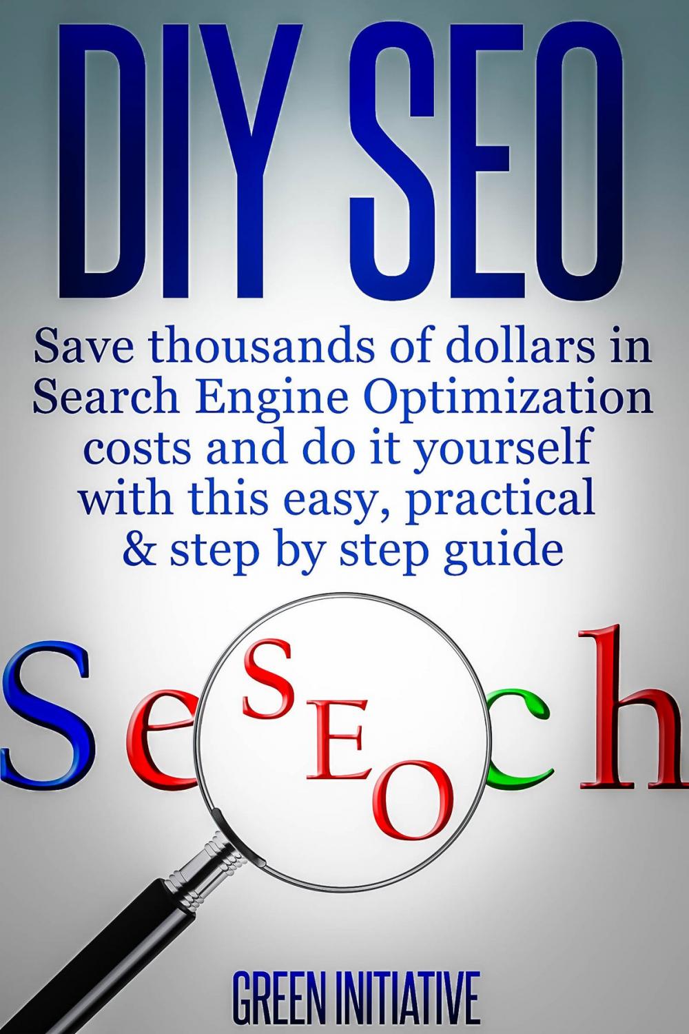 Big bigCover of DIY SEO: Save Thousands of Dollars & Optimize On Your Own