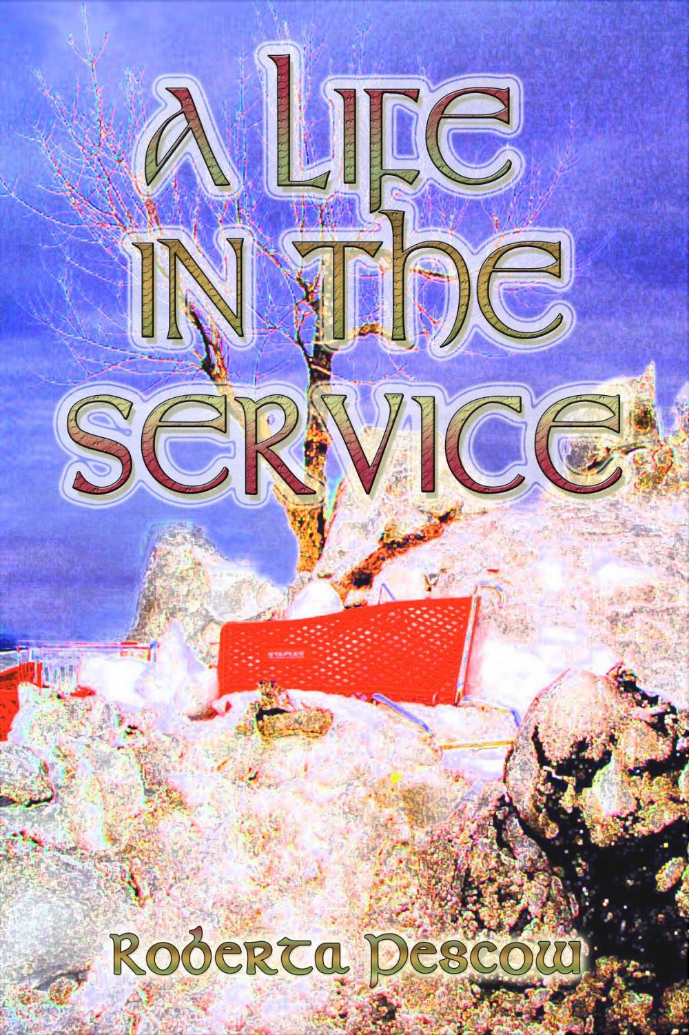 Big bigCover of A Life in the Service