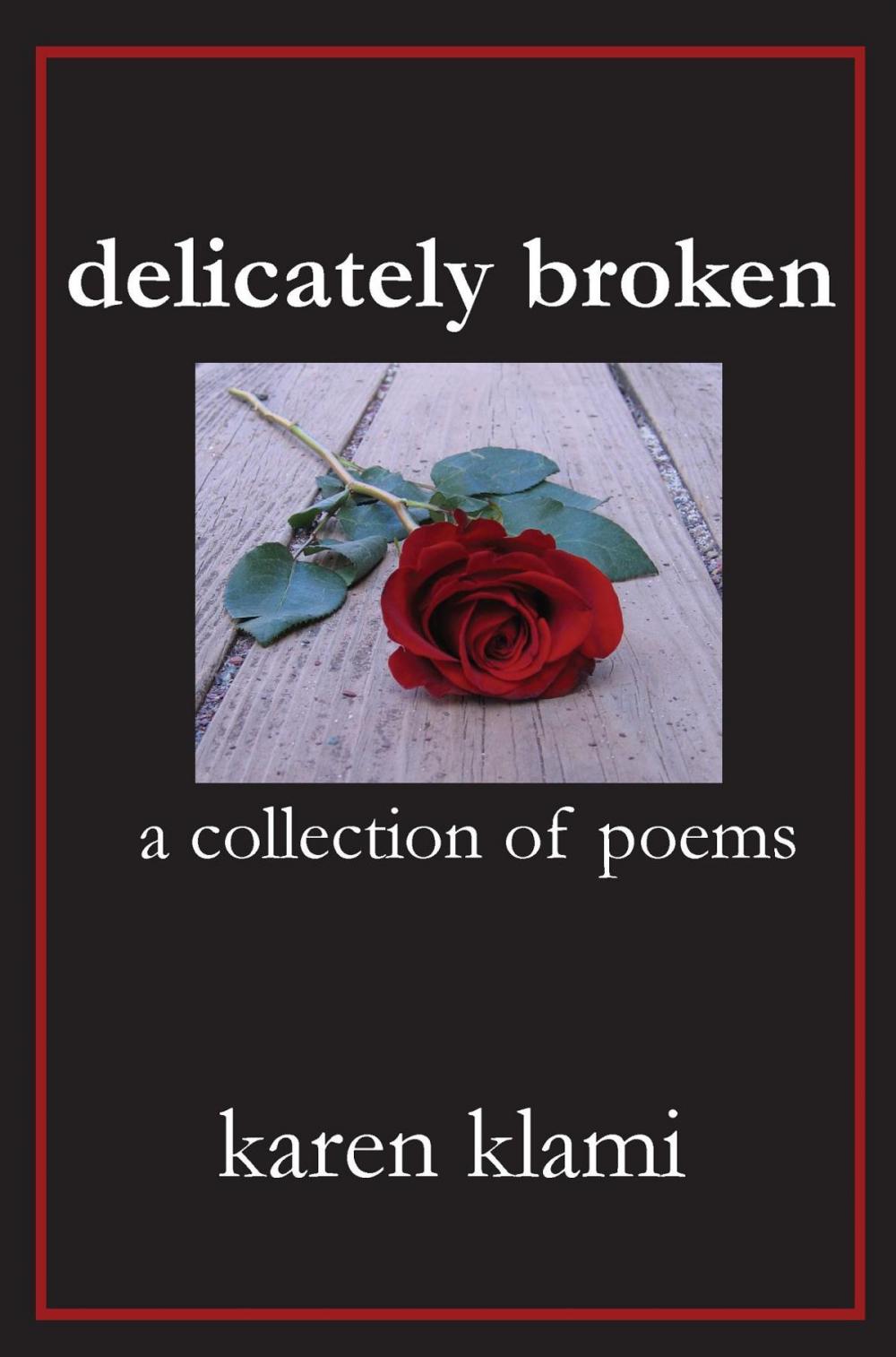 Big bigCover of delicately broken ~ a collection of poems