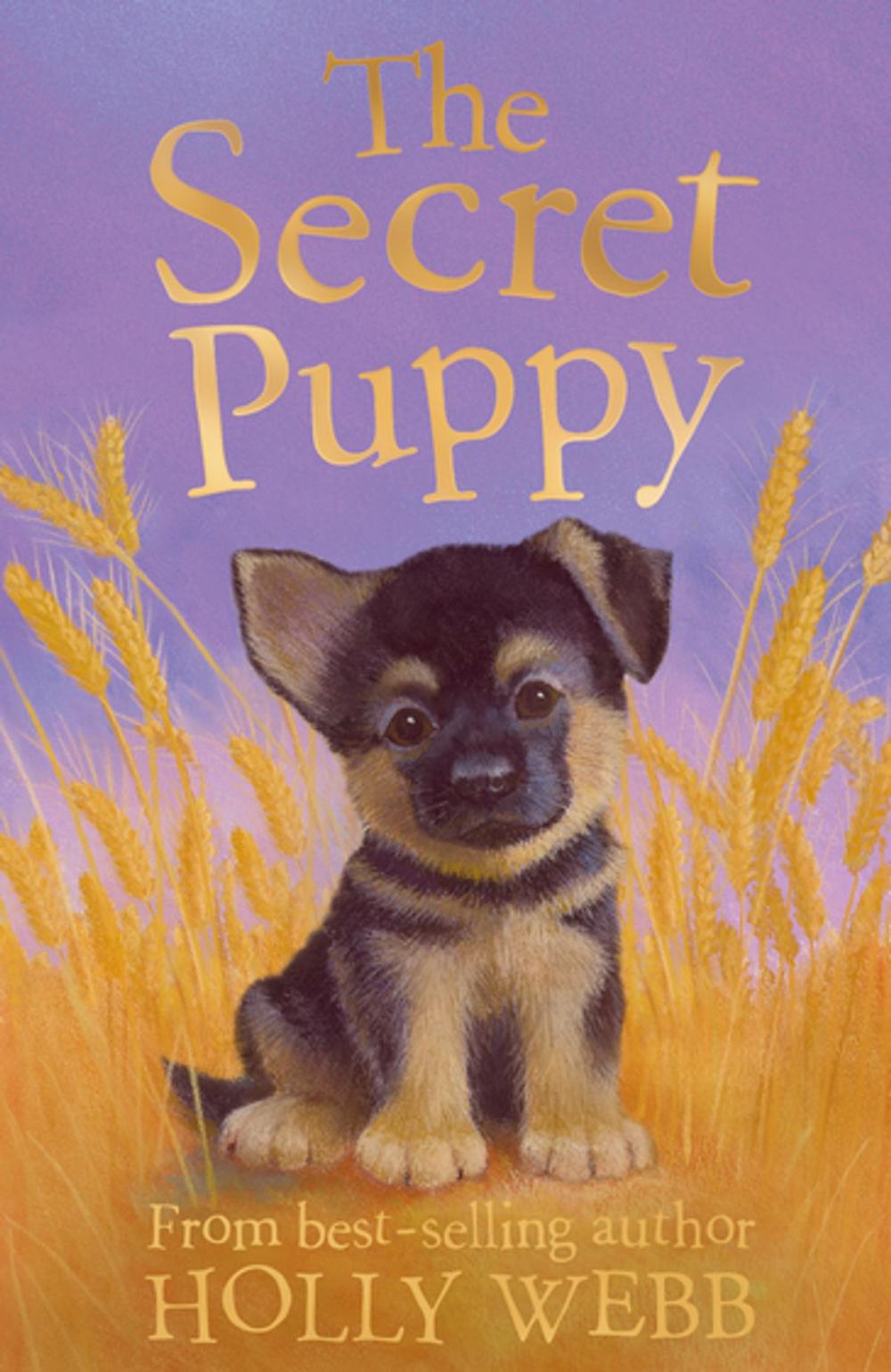 Big bigCover of The Secret Puppy