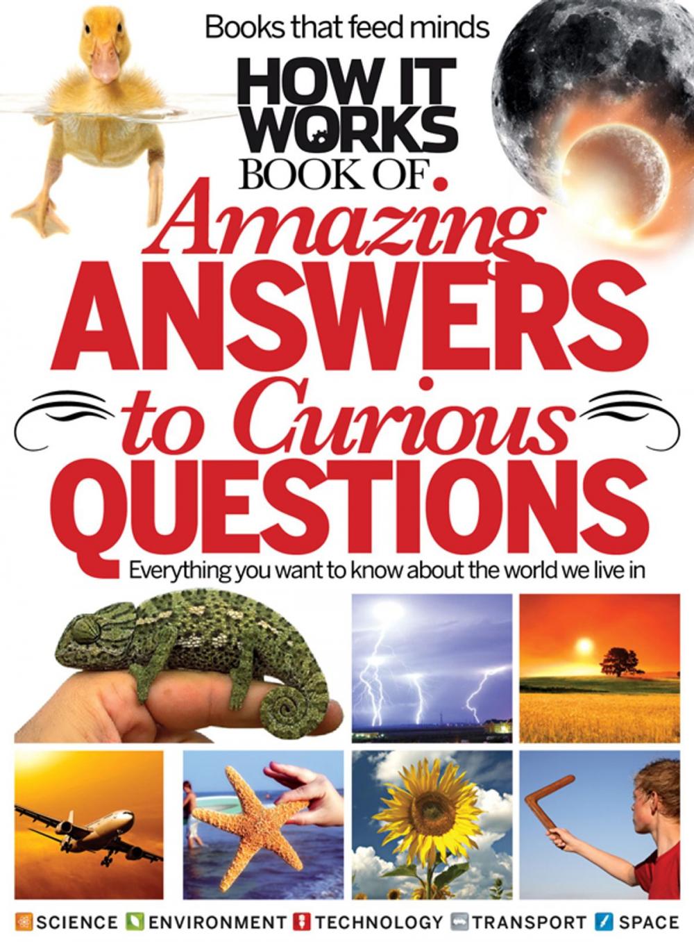 Big bigCover of How It Works Amazing Answers to Curious Questions