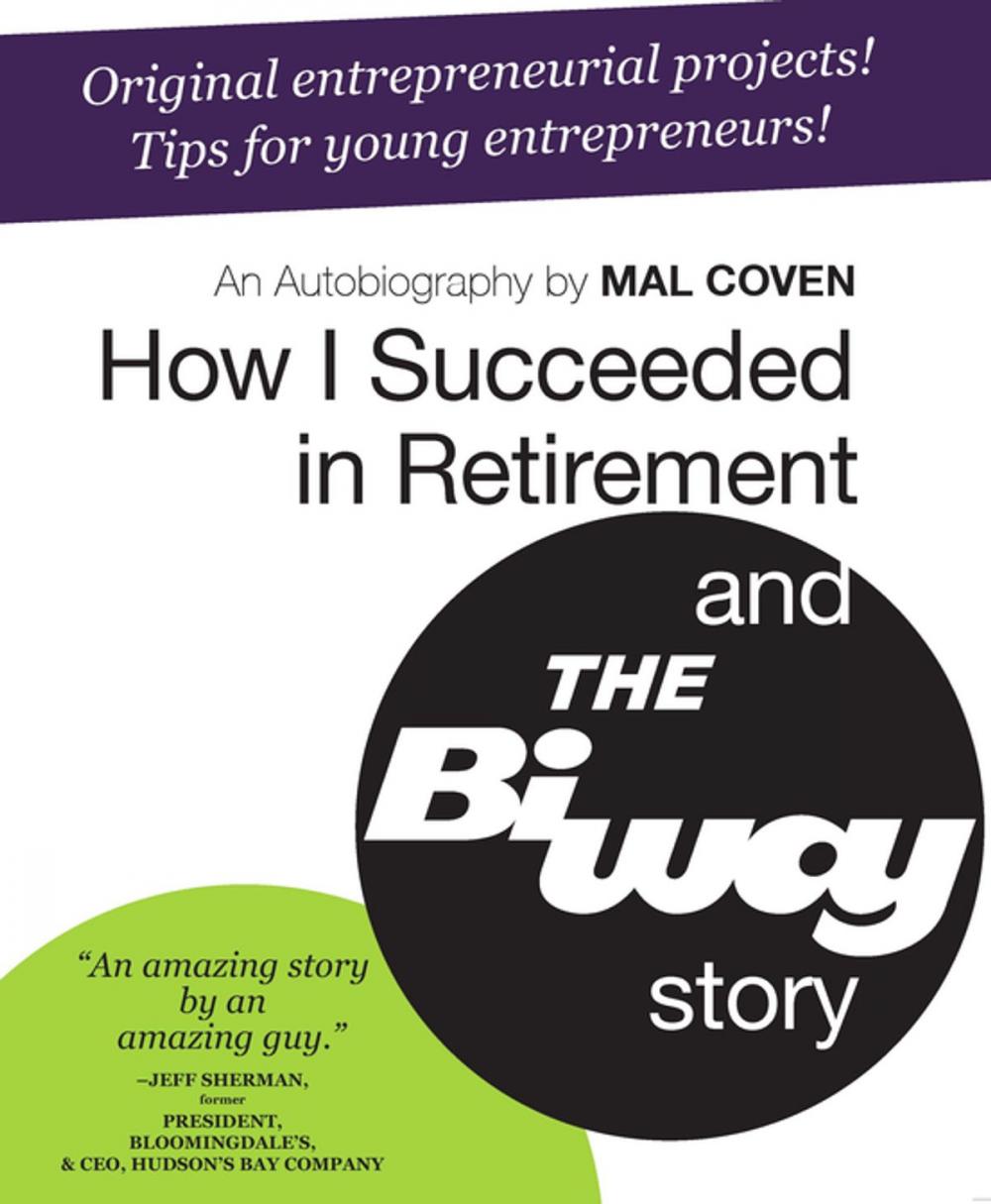 Big bigCover of How I Succeeded in Retirement and the Biway Story