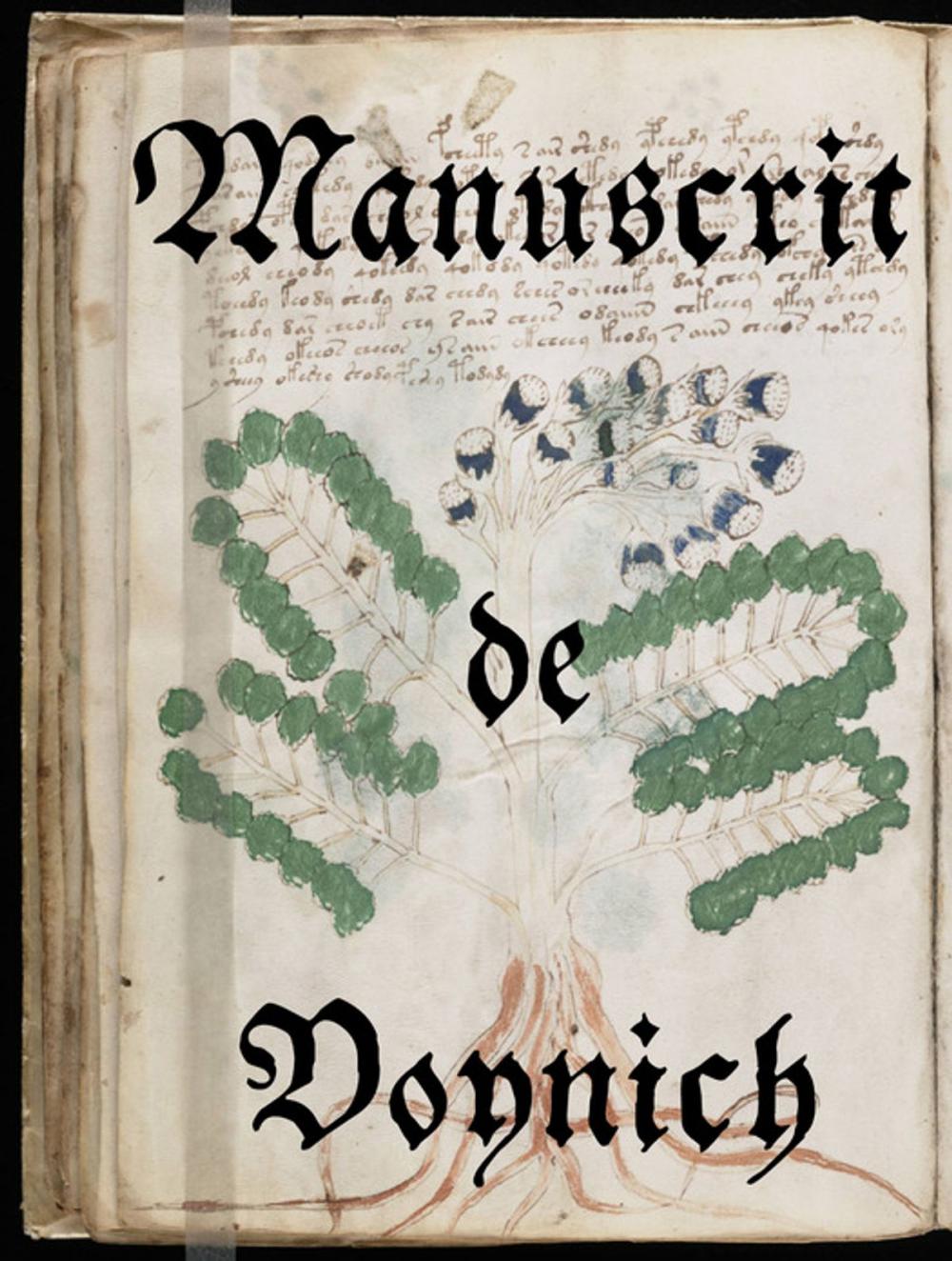 Big bigCover of Manuscrit de Voynich
