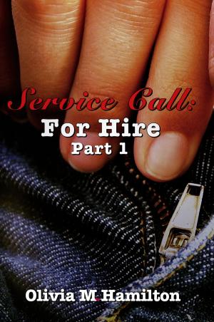 Book cover of Service Call: For Hire - Part 1
