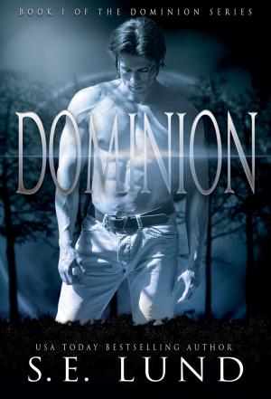 bigCover of the book DOMINION by 