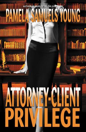 Cover of the book Attorney-Client Privilege by Ava Blackstone