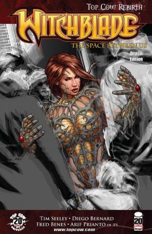Book cover of Witchblade #156