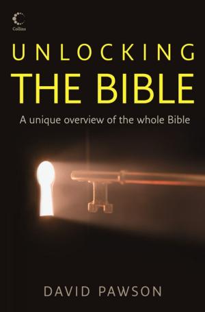 Cover of the book Unlocking the Bible by Robert Morgan