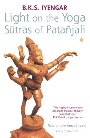 Book cover of Light on the Yoga Sutras of Patanjali