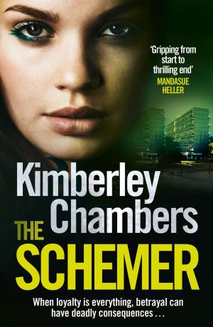 Cover of the book The Schemer by Kimberley Chambers